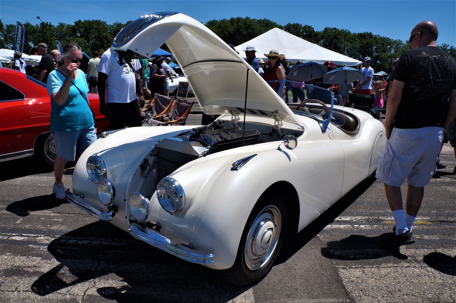 DSC04949 (2).JPG